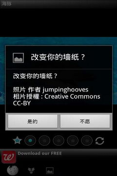 有趣的海豚app