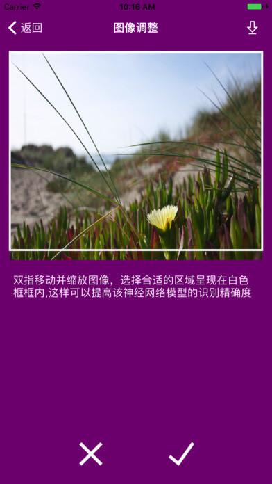 小牛识图v1.0