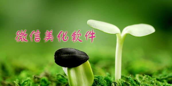 微信美化软件