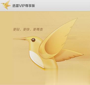迅雷vip尊享版精简秒开旧版本