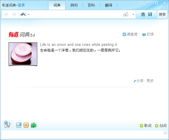 有道词典纯净版