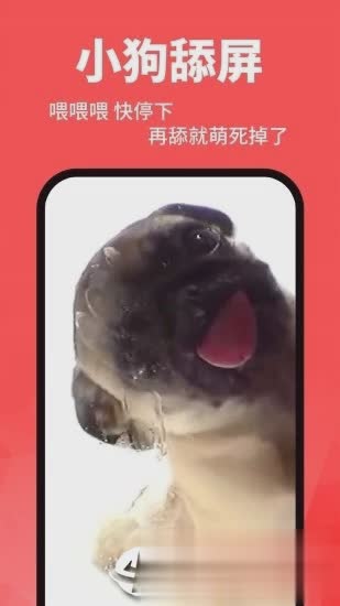 动态壁纸精灵app软件截图5