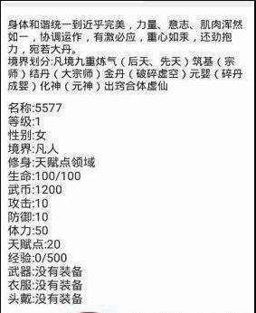 武道天空之城游戏截图4