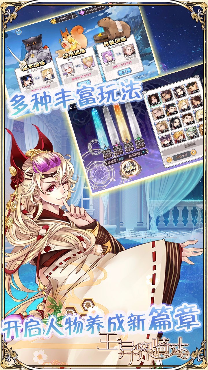王与异界骑士安卓版游戏截图3