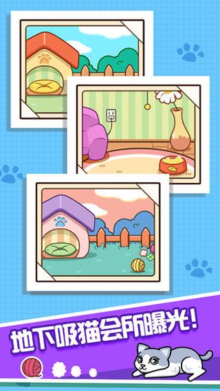 跑跑云养猫游戏截图2