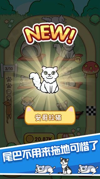 跑跑云养猫游戏截图4