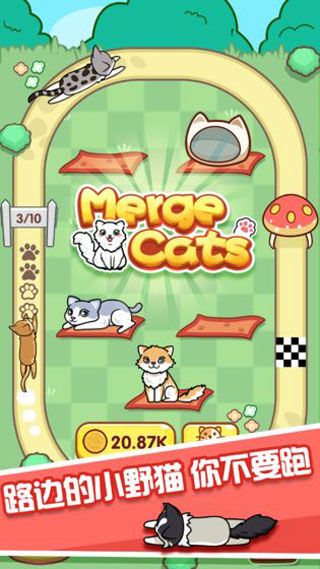 跑跑云养猫游戏截图3