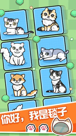 跑跑云养猫游戏截图5