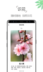 养花大全软件截图4