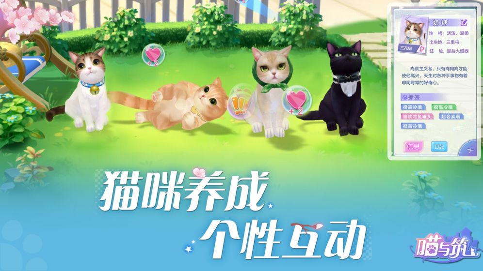 喵与筑游戏截图5