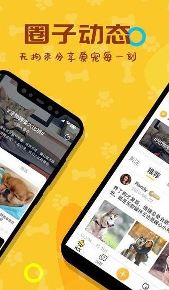 爱宠大陆软件截图2