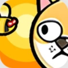 保护胖柴